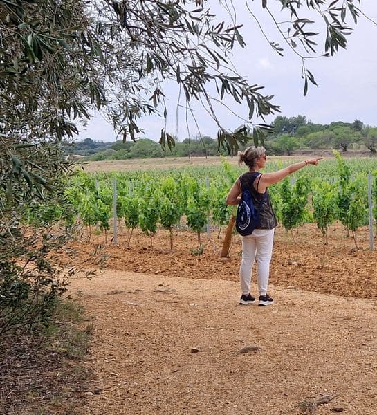 Venir pour les joies de l'été - Office de Tourisme Cap d'Agde Méditerranée