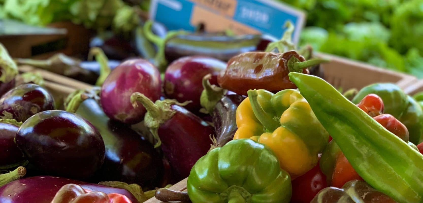 Office de Tourisme Cap d'Agde Méditerranée - les marchés