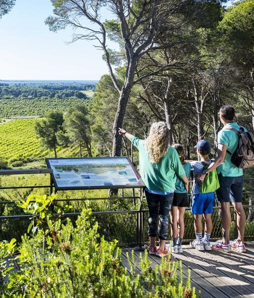 Venir pour les joies de l'été - Office de Tourisme Cap d'Agde Méditerranée