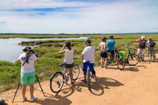 Venir pour les joies de l'été - Office de Tourisme Cap d'Agde Méditerranée